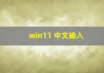 win11 中文输入